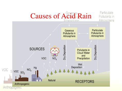 What Causes Acid Rain