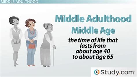 Physical Development In Middle Adulthood Overview And Examples Video