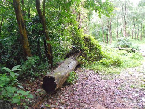 Planning a trip to dhoni hills? Dhoni Hills-A must Visit ~ Kerala Travel Diaries