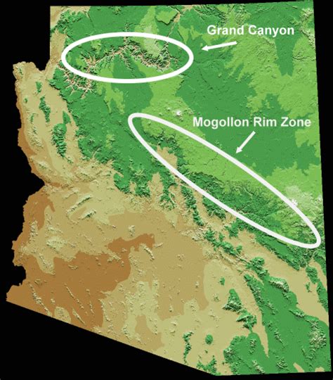 Arizona Expedition