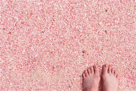 10 Pink Places To Go Pink Beach Tickled Pink The Great Outdoors Eye