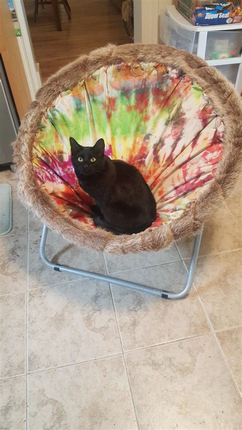 Made This Chair Out Of Tye Dye Fur And Leather Scraps I Had Around The