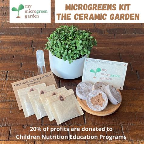 Microgreen Ceramic Garden Kit Learn To Grow 4 Four Sets Of Etsy