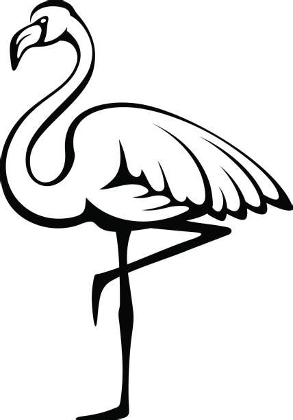 Top Flamingo Outline Clip Art Vector Graphics And Illustrations Istock