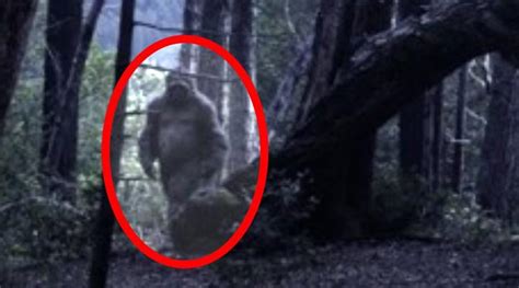 Top Places To Encounter Bigfoot In 2017