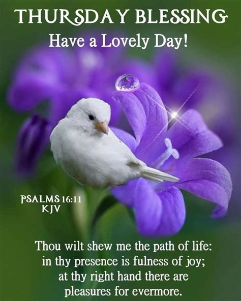 Pin By Judiann On Weekday Blessings Thursday Blessing Fullness Of