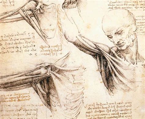 6 Leonardo Da Vinci Inventions That Changed History Forever