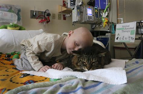You never want to leave a pet home alone for more than several hours, and your furry friend. Meet the dogs and cats that help heal sick Portland kids ...