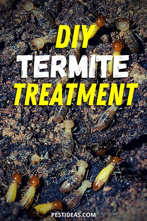 We're allowed to do our inspections, and our clients are allowed to have us in their homes as tradespeople. DIY Termite Treatment Tips