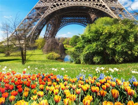 Paris Tour Eiffel Un Jour Lumineux Au Printemps Avec Des Fleurs Photo