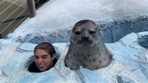 Simple Science: How to Make a Volcano with Kids