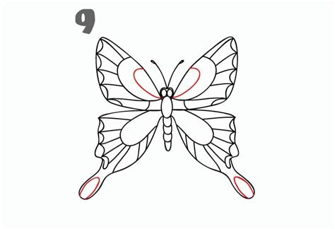 Kako Nacrtati Leptira Slika Kako Nacrtati Leptira 1