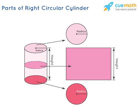 Right Circular Cylinder Formula Definition Examples