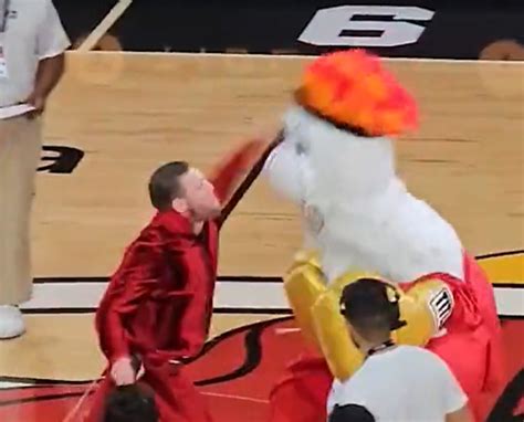 Footage Shows Conor Mcgregor Landing Ko On Miami Heat Mascot In Nba Finals