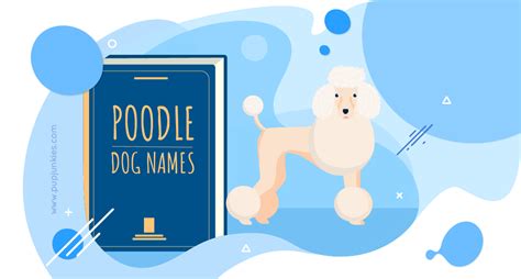 100 Most Popular Poodle Dog Names Of 2021