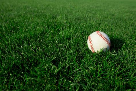 Baseball On Field Of Grass Stock Photo Download Image Now Istock