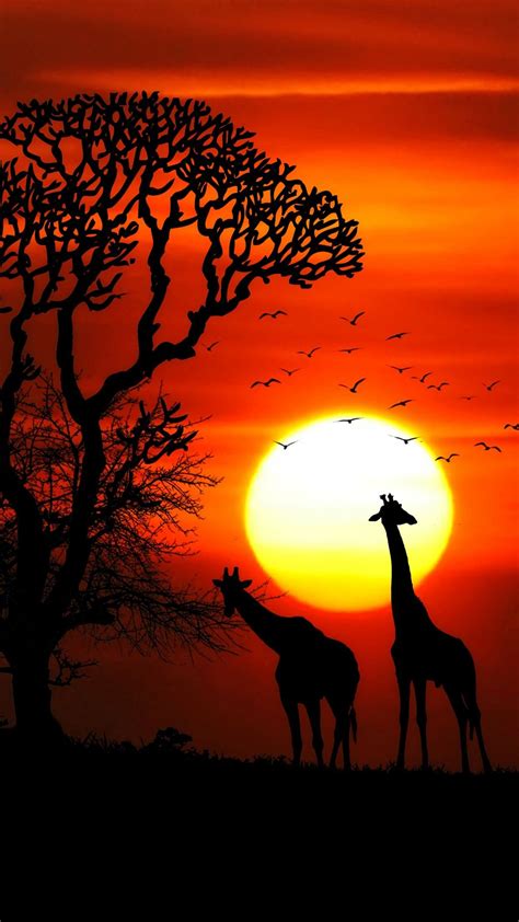 Sunset Animals Wallpapers Hd Wallpapers Id 23093