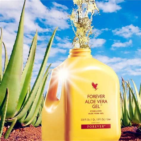 Harvesting is done entirely by hand to ensure that the aloe vera is not degraded then the aloe vera leaves are carefully washed and rinsed to prepare them to extract the precious gel that is the basis of all forever products. FOREVER LIVING Aloe Vera Gel 1LX1 (for detoxification ...