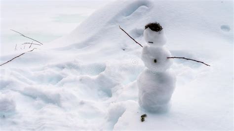 A Small Snowman With Twigs As Arms And Moss As Hair Stock Photo Image