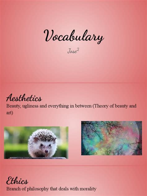 Philosophy Vocabulary Pdf