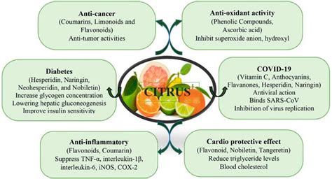 Citrus An Overview Of Food Uses And Health Benefits Intechopen