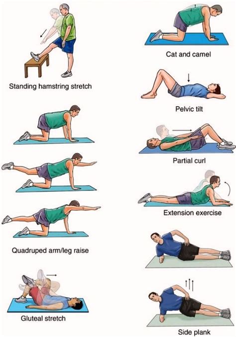 5 Tips For Building Muscle Strength Training Back Pain Exercises