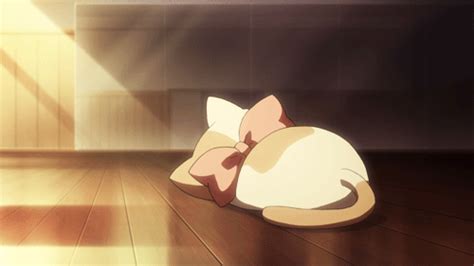 Kitteh Kats Via Bullzara Anime Kitten Cute Anime Cat Aesthetic Anime