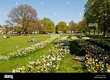 Spring on Ealing Common, London, United Kingdom Stock Photo - Alamy
