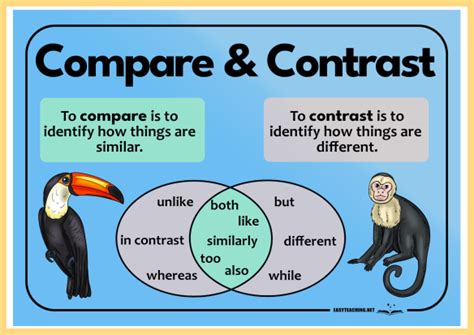 Compare And Contrast Activities Passages Graphic Organizers Made