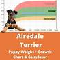 Airedale Terrier Grooming Chart