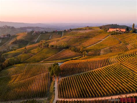 Aerial View Over Le Langhe Vineyards Piedmont Italy Royalty Free