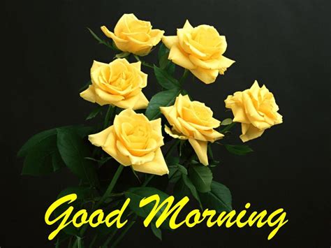 Good Morning With Bunch Of Yellow Roses