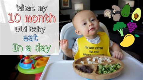 What My 10 Month Old Baby Eat In A Day Youtube