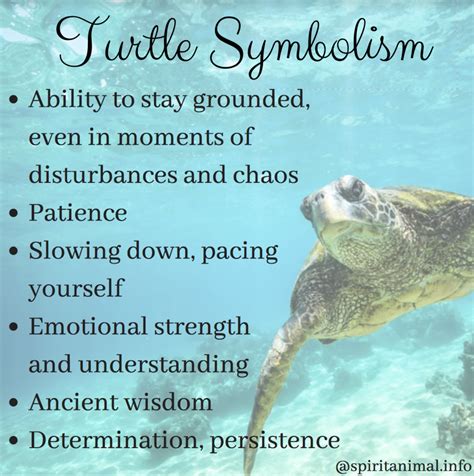 Turtle Symbolism Dreams Meaning And Messages