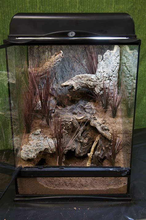 Although there are a wide variety of tarantula species, most of them live for about 7 years. NT-4 Excavator 33498 | Reptile terrarium, Gecko terrarium, Terrarium