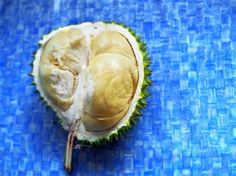 Thousands of companies like you use panjiva to research suppliers and competitors. Travel Lawas Durian Guide - Year of the Durian