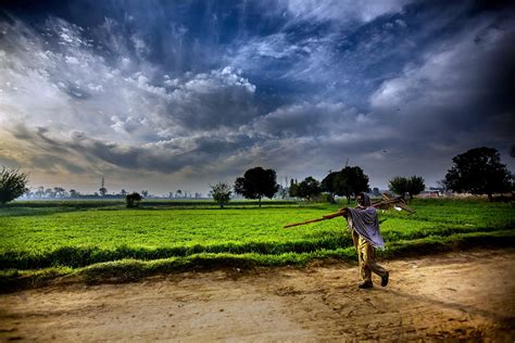 Pakistan Landscapes Man Farmer Agriculture Clouds Sky Trees Fog Nature