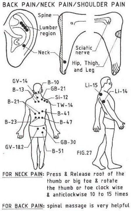 The humerus (upper arm bone), the tendons of the rotator cuff. 17 best images about Acupressure on Pinterest | Pressure ...