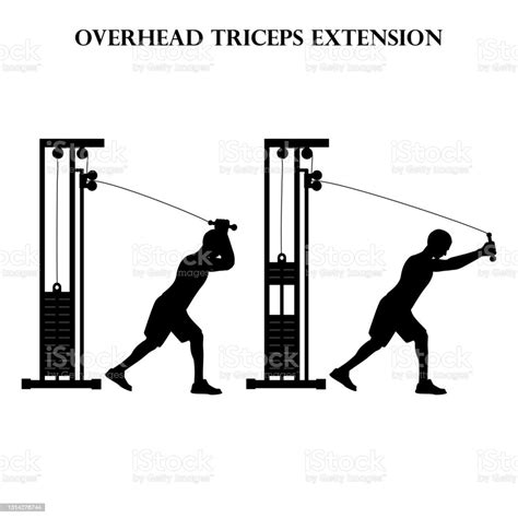 Overhead Triceps Uitbreiding Oefening Kracht Training Vector Illustratie Silhouet