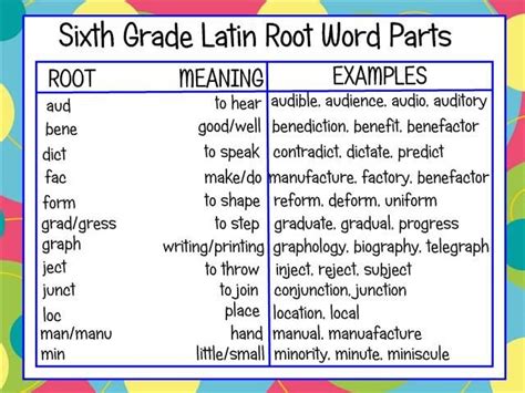 Sixth Grade Latin Roots Latin Root Words Root Words Teaching Vocabulary