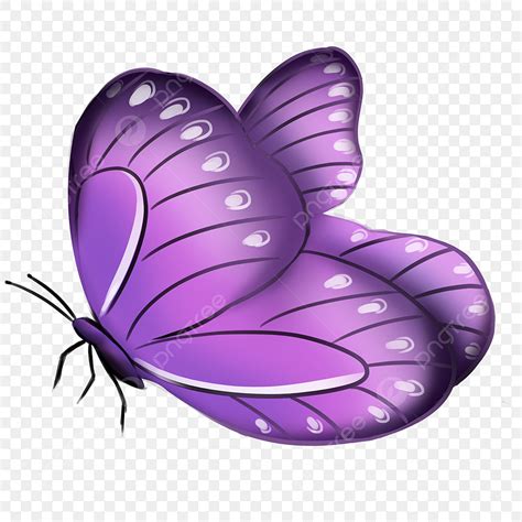 Purple Butterflies Clipart Vector Purple Cartoon Butterfly