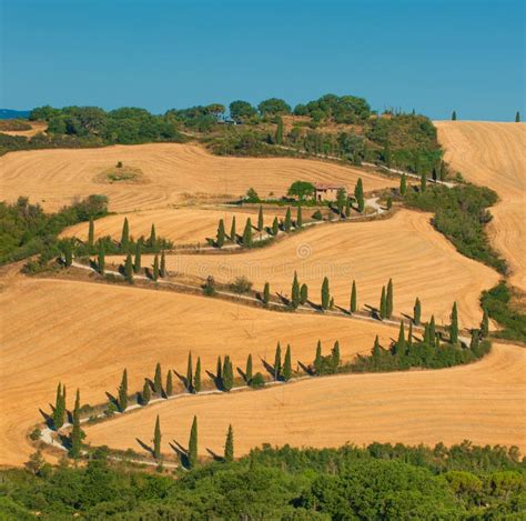 Typical Tuscan Landscape Stock Photo Image Of Environment 26023376