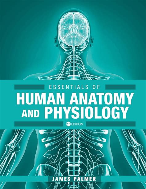 Essentials Of Human Anatomy And Physiology Paperback