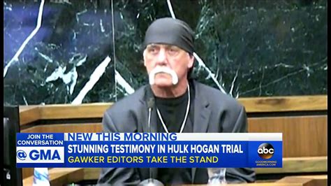 Hulk Hogan Sex Tape Trial Gawkers Shocking Testimony