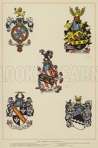 the armorial bearings stock image look and learn