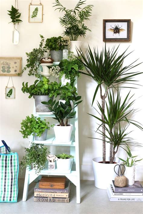 Cool Plant Stand Design Ideas For Indoor Houseplants