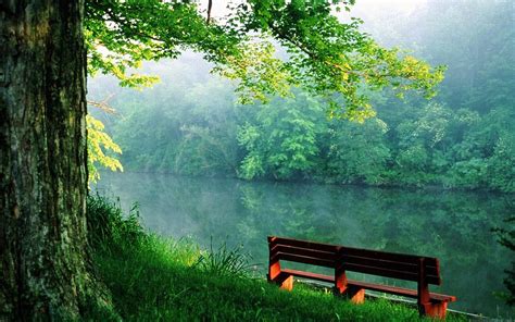 Soothing Peace Of Mind Nature Pictures Peace Of Mind Images To Calm