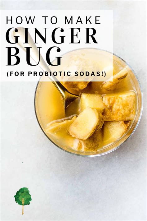 How To Make A Ginger Bug For Homemade Fermented Sodas Recipe Ginger