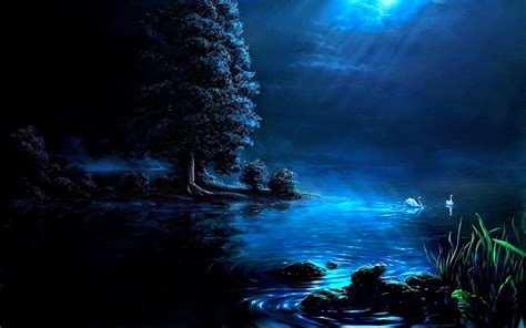 Night At Fantasy Pond Hd Wallpaper Background Image 1920x1200 Id