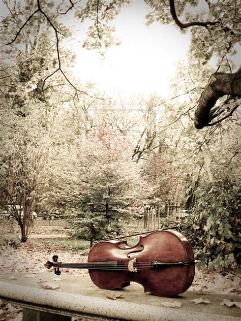 Cello Art Art I Love Pinterest Cello Cello Art And Instruments